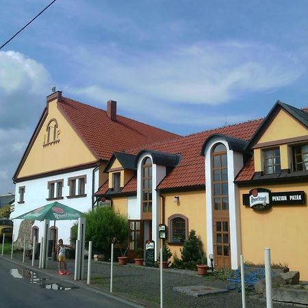 Penzion Patak Kamyk nad Vltavou Экстерьер фото